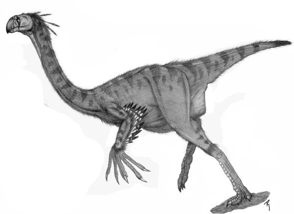 Платеозавр (Plateosaurus engelhardti)