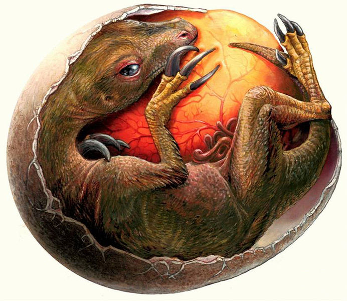 Барапазавр (Barapasaurus tagorsi)
