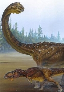 Брахиозавр (Brachiosaurus brancai)
